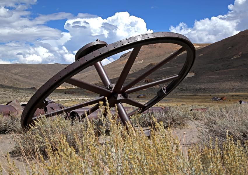 rusted wheel spoke in field