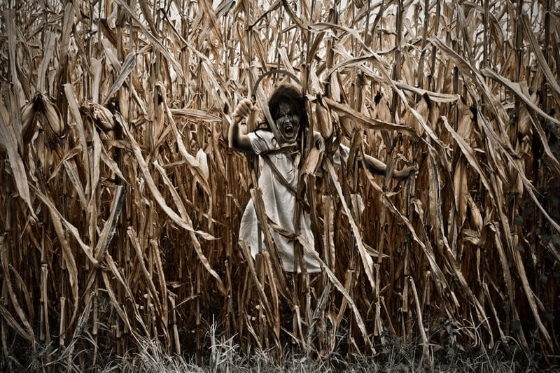 Cornfield Of Terror haunted house in New Jersey featured image