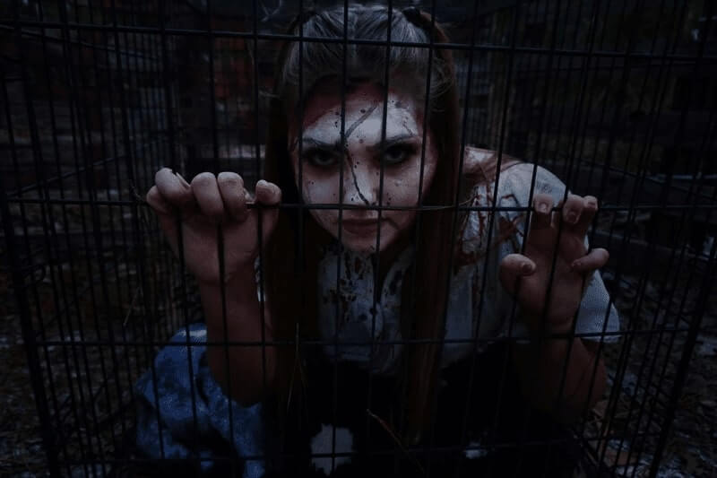 Terror Falls Haunted Farm haunted house in South Carolina featured image