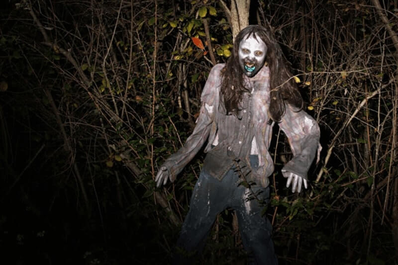 Fear Forest haunted house in Virginia featured image
