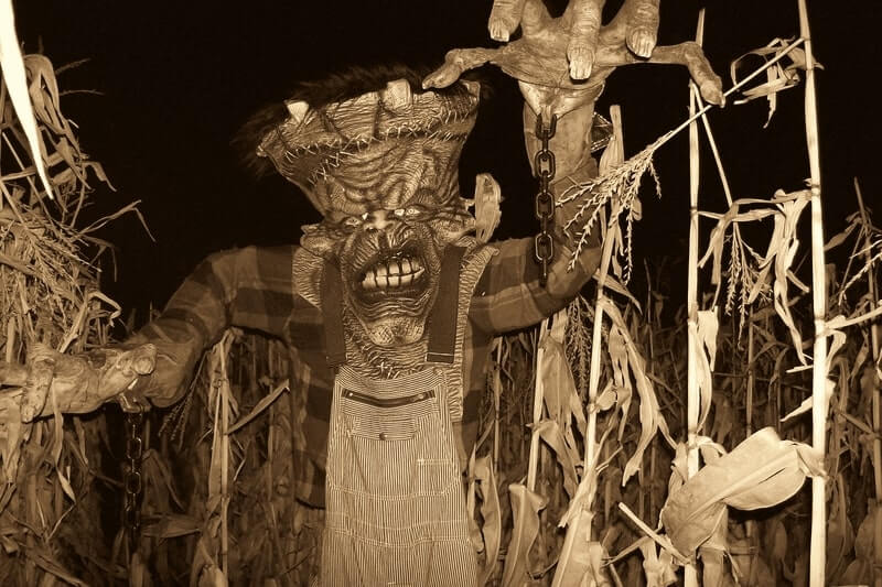 Spooky Stalks Haunted Cornfield haunted house in Wisconsin featured image
